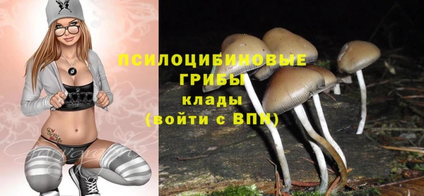 хмурый Покачи