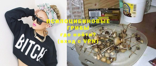 дмт Покровск